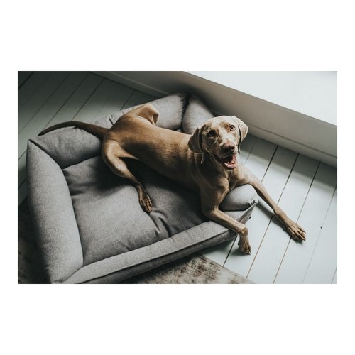 Dog Sofa Hunter Prag 70 x 50 cm Grey - Imagen 14