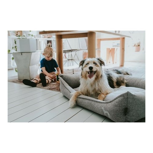 Dog Sofa Hunter Prag 70 x 50 cm Grey - Imagen 10