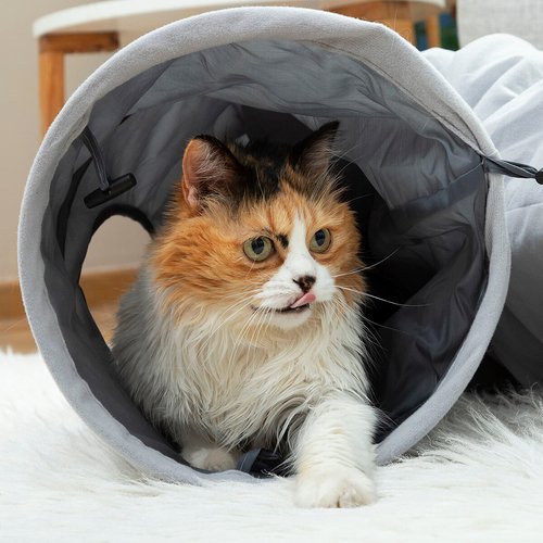 Collapsible Pet Tunnel Funnyl InnovaGoods - Imagen 31