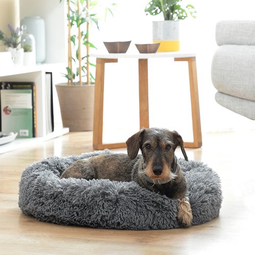 Anti-stress Pet Bed Bepess InnovaGoods Ø 60 cm - Imagen 3