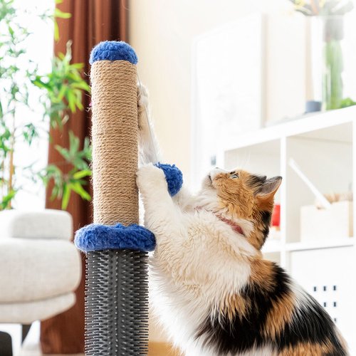 Cat Scratching and Massage Post with Ball Miausage InnovaGoods - Imagen 31